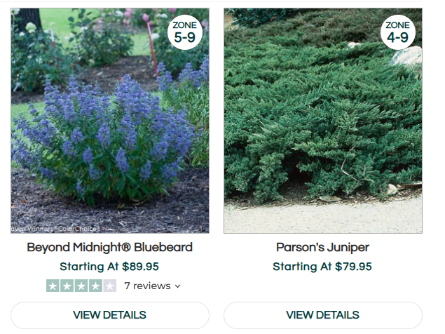 Shrubs
